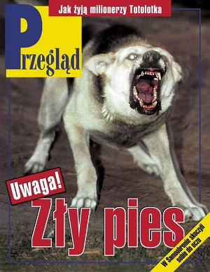 Okładka Tygodnika Przegląd 45/2001