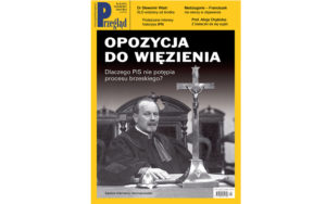 Okładka PRZEGLĄDU nr 25/2017