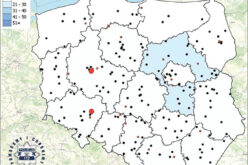 Wakacyjna śmierć za kółkiem