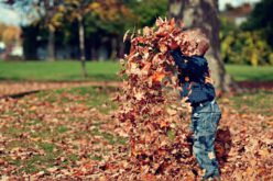 Czy możliwe jest jednoczesne otrzymywanie Kindergeld i 800 plus?