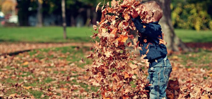 Czy możliwe jest jednoczesne otrzymywanie Kindergeld i 800 plus?