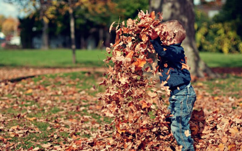 Czy możliwe jest jednoczesne otrzymywanie Kindergeld i 800 plus?