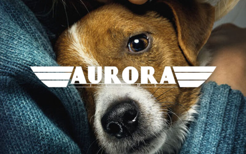 My, nasze zwierzęta i wojna – Aurora Films