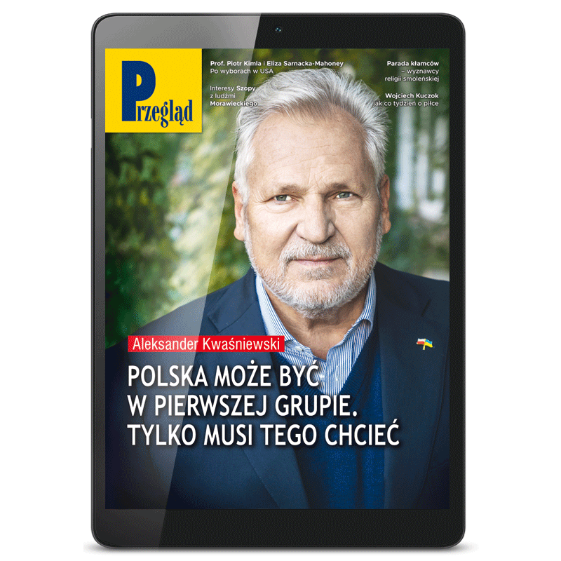 e-PRZEGLĄD nr 46/2024